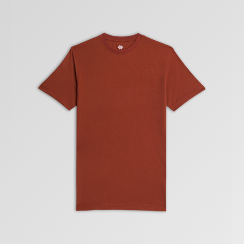 Copy of Copy of Leaf Background (2000 x 2000 px) - 241